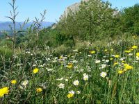 Hotel Posada Del Valle