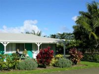  Aloha Hibiscus Island