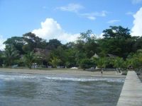  Ecologico Salvador Gaviota