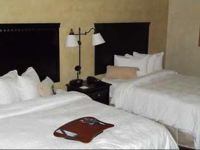  Hampton Inn & Suites Dallas-Arlington North-Entertainment District