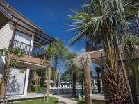  The Leaf By Katathani