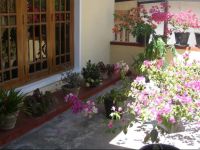  Streamy View Homestay