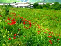  Azoyan Holiday Resort Hotel Sisian