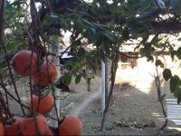  Ekaterine Holiday Home