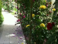  Chugush Holiday Home