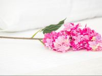  Na Vostochnoy Guest House