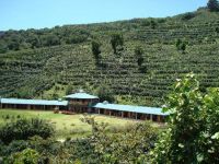  Finca Lerida Ecolodge