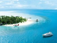  The Rania Experience