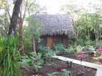  Mariposa Jungle Lodge