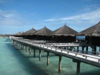  Vivanta by Taj Coral Reef