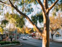  Margaret River Beach Studios