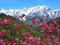  Country Inn Kashiwabara