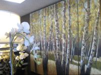  Country Lodge Motor Inn