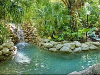  Kewarra Beach Resort & Spa