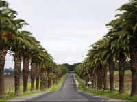  Seppelts View Cabins