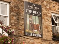  The Buck Hotel