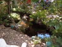  Oasis Du Vieux Longueuil