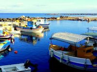  Alexandros Beach House