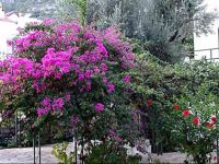  Diplomat 2 Hotel and Apartments