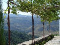  Country house Quinta da Salgueira