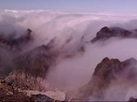  Apto. Santos Paraiso