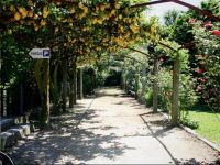  Barcelos Alojamento Local