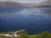  Hollytree Hotel and Swimming pool