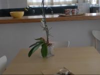  Apartamentos Bressol