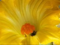  Agriturismo Fioredizucca