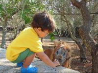  Masseria Nova Isola Verde