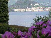  Charming Glicine and Azalea House Art and Colour with lakeview