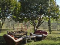  Affittacamere Artemisia