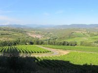  Winery Houses in Chianti