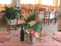  Agriturismo Eucalipto