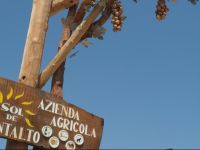  Agriturismo Sol De Montalto