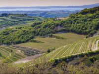  B&B Boutique Osteria della Pieve