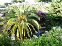  B&B Il Giardino di Villa Anna