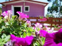  Agriturismo Poggiocolone