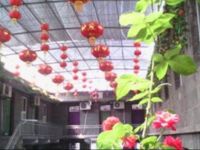  Taihangshan Stone City Inn