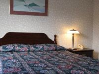  Airport Motel - Inglewood