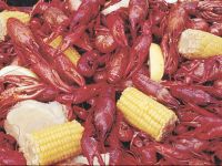  Fairfield Inn & Suites by Marriott Lafayette South