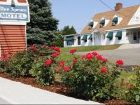  Blue Spruce Motel & Townhouses