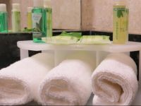  Holiday Inn Express Vernon College Area Highway 287