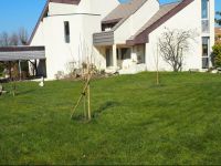  Paris CГґtГ© Jardin