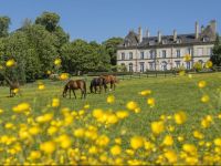  ChГўteau dYgrande - ChГўteaux et HГґtels Collection