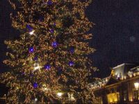  Chambre dhГґtes Au Canal