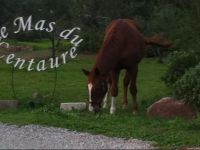  Le Mas du Centaure