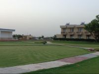  Treehouse Dwarka Neemrana