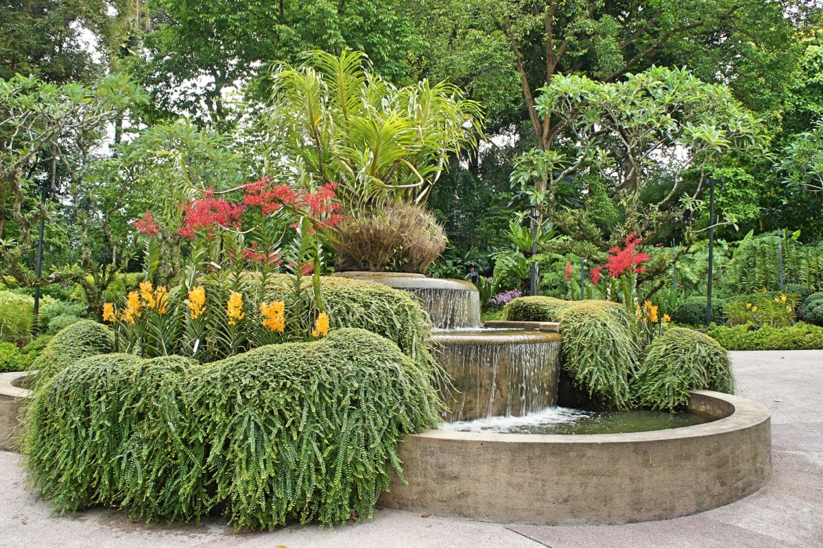 Сингапурский ботанический сад