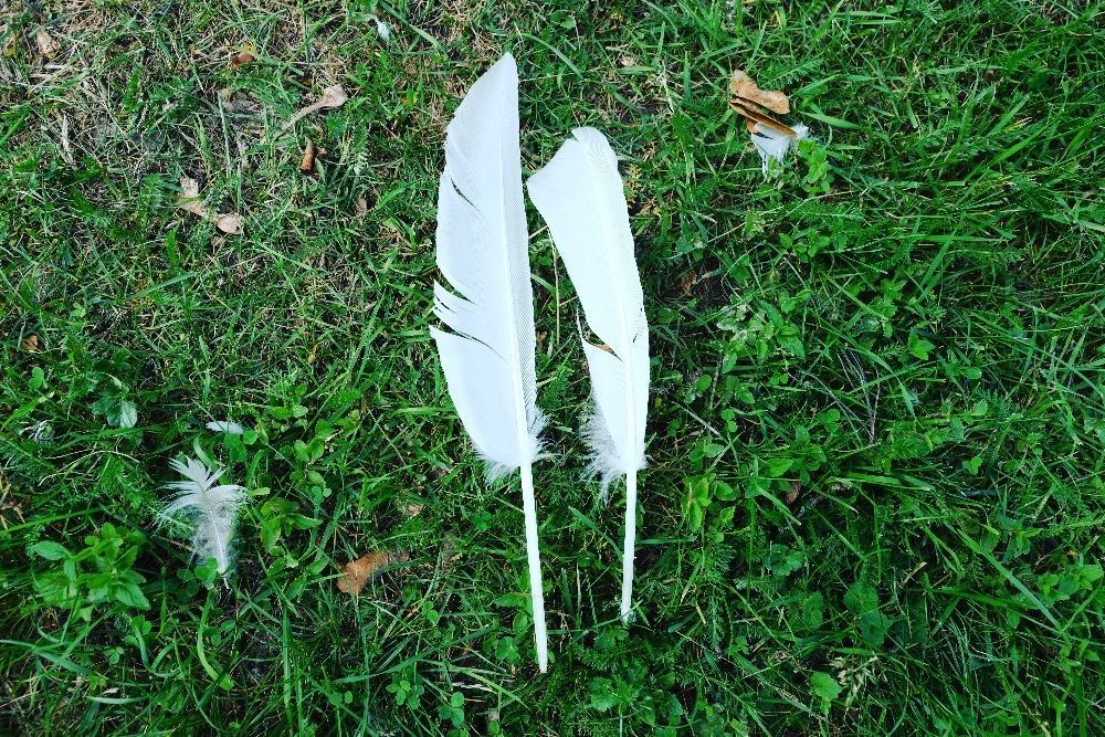 Зоопарк хутора Калласте